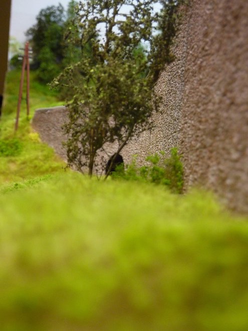 P1030920.jpg