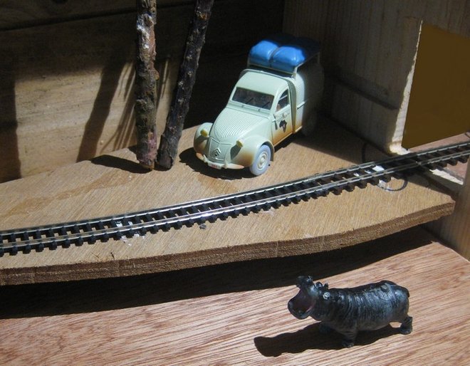 hippo.jpg