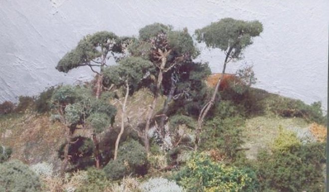 PC147.jpg