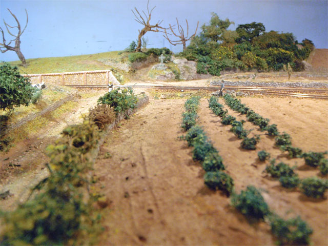 patates.jpg