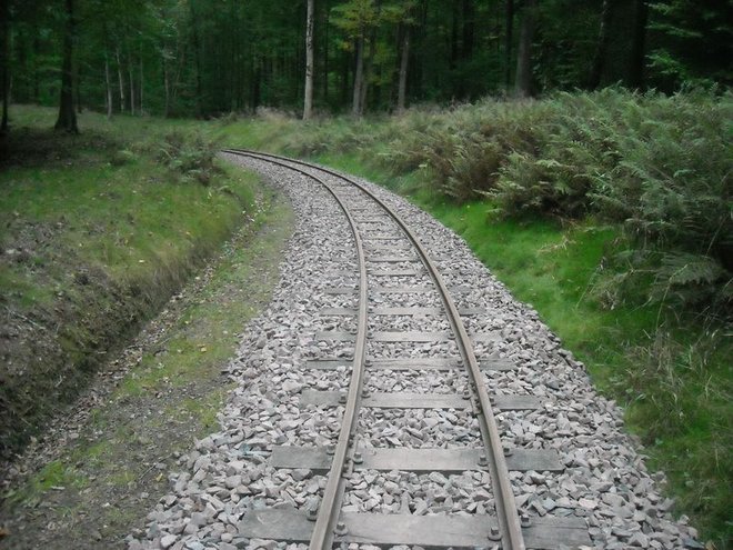 DSCN7103.JPG