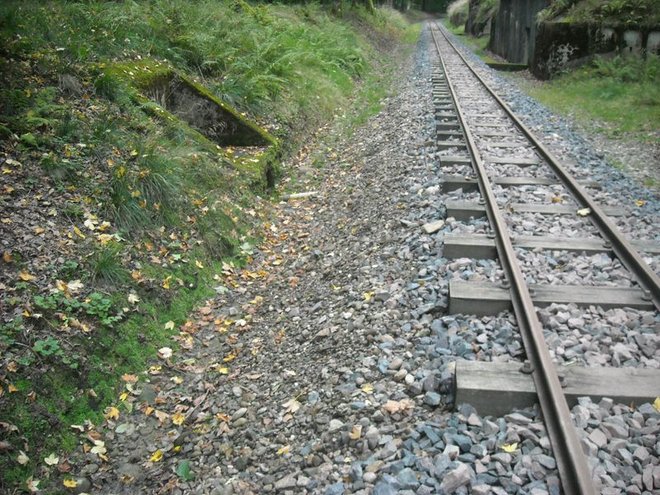 DSCN7106.JPG
