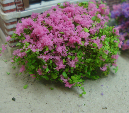 hortensia.png
