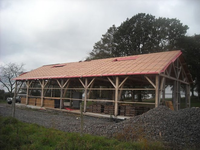 DSCN7103.jpg