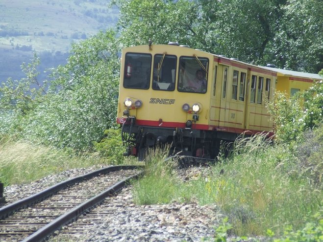 Estavar 3.jpg