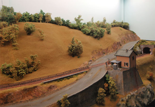 PA263117.jpg