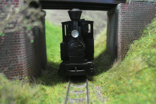 020 et wagons HOe002.jpg