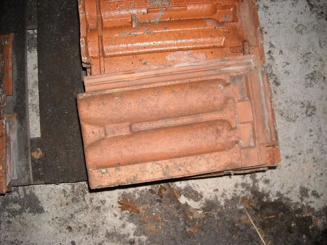 DSCN7142.JPG