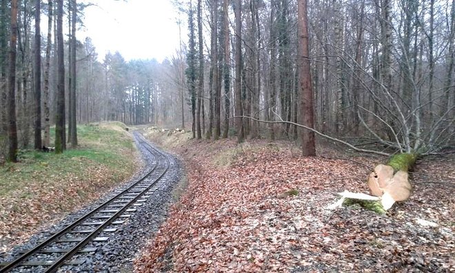 2014-02-05 11.14.58.jpg