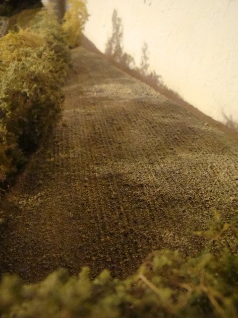 Marais 0004.jpg