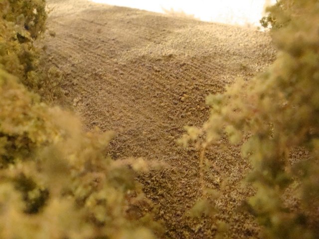 Marais 0005.jpg