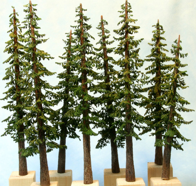 sapins02b.jpg