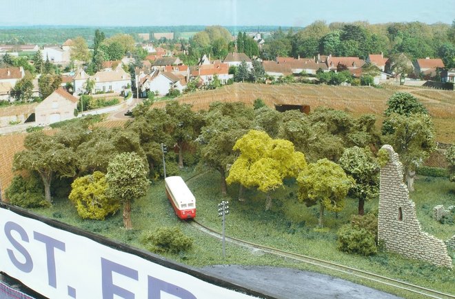 SFLC 01.jpg