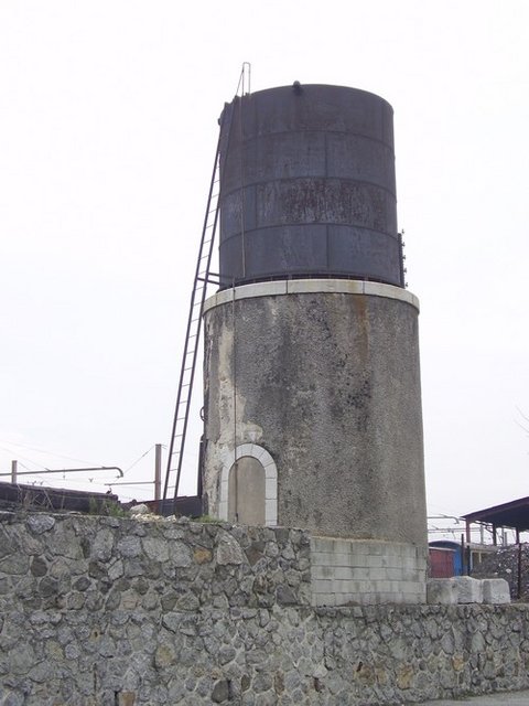 P2160047_pme.jpg