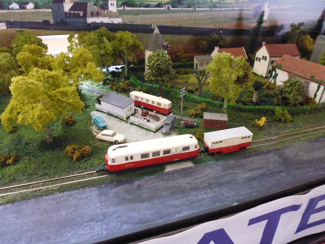 P1010071.JPG