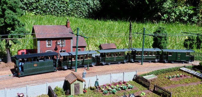 P1070286 (1280x617).jpg