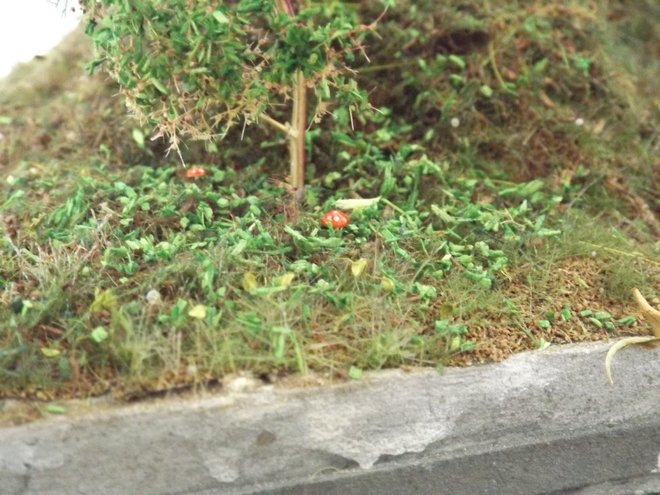 DSCF0925.JPG