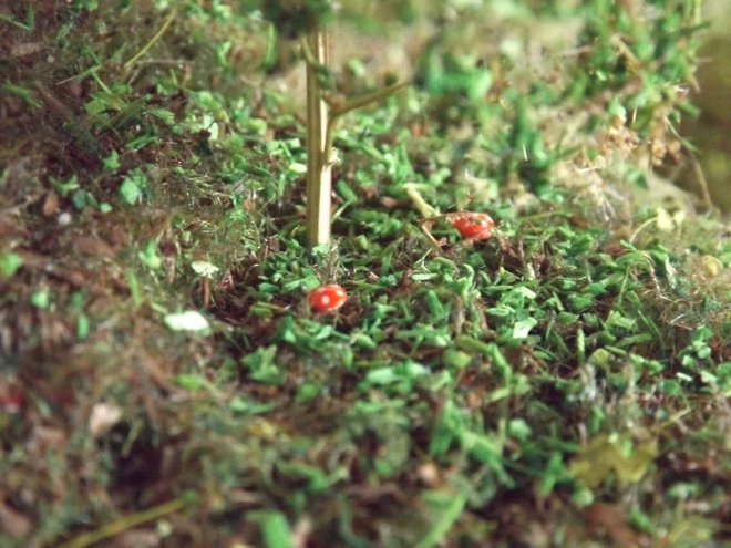 DSCF0926.JPG