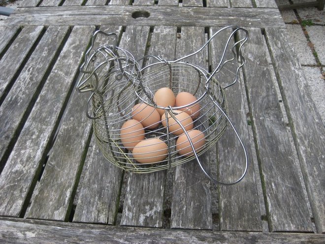 oeuf 001.JPG