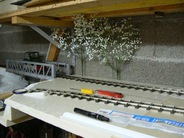 P1130285.JPG
