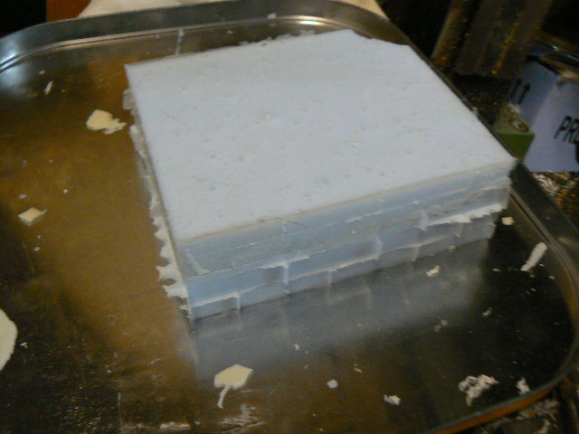 P1130325.JPG