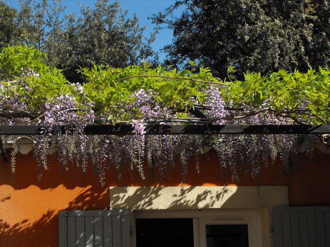 DSCF5200.JPG