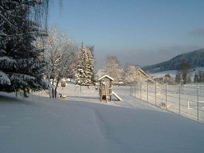 -12° ce matin.JPG