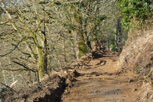 DSC_0018_3.jpg