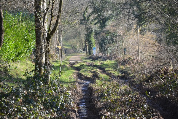 DSC_0017_3.jpg