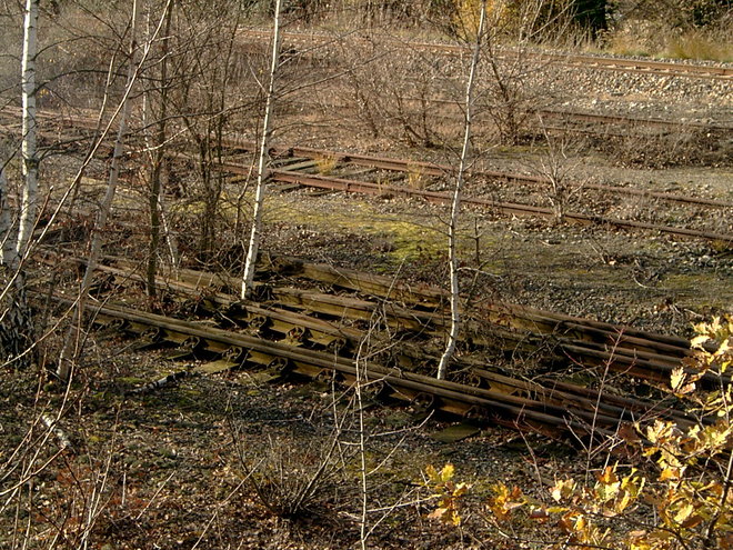 S2400025.JPG