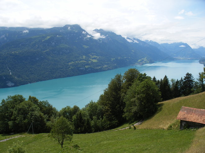 Vue du lac de Brienz depuis le train du BRB ( 2 ).JPG