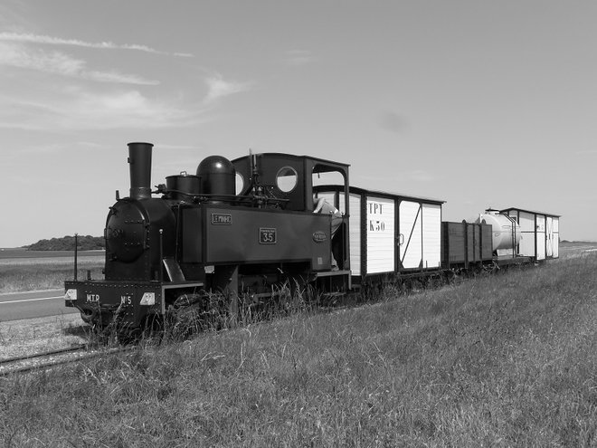 P1020731.JPG