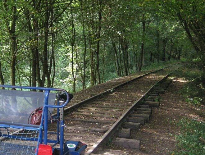 ligne.jpg