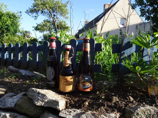 bières belges.jpg