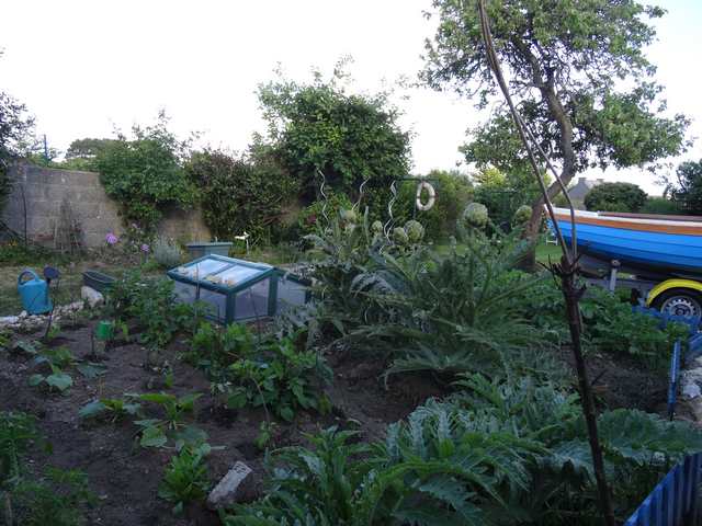 potager 2.jpg
