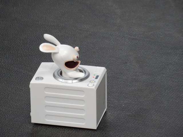 lapin blanc de blanc.jpg