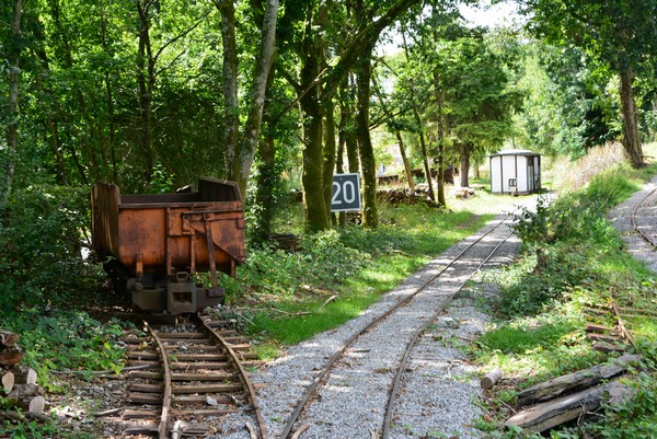 DSC_0183_3.jpg