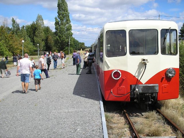 SABA 1.jpg