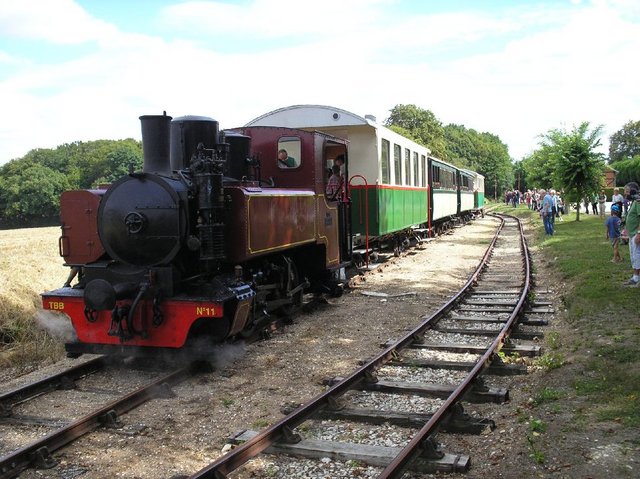 SABA4.jpg