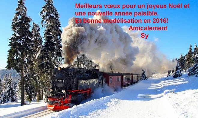 11 -steam-locomotive-in-the-snow-train.jpg