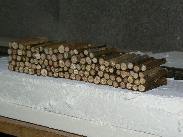 P1140126.JPG