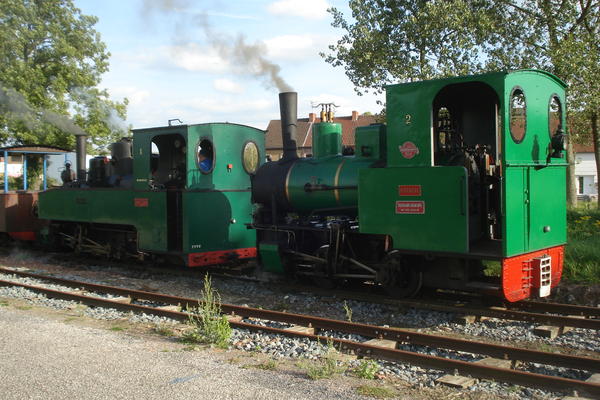 DT 1.jpg