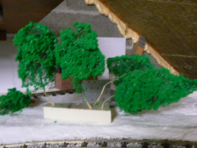 P1140215.JPG