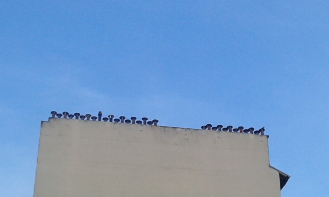 20160516_205543.jpg
