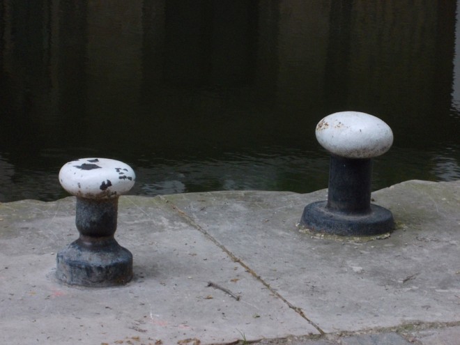 DSCN8060.JPG