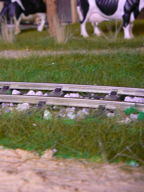 P1140382.JPG