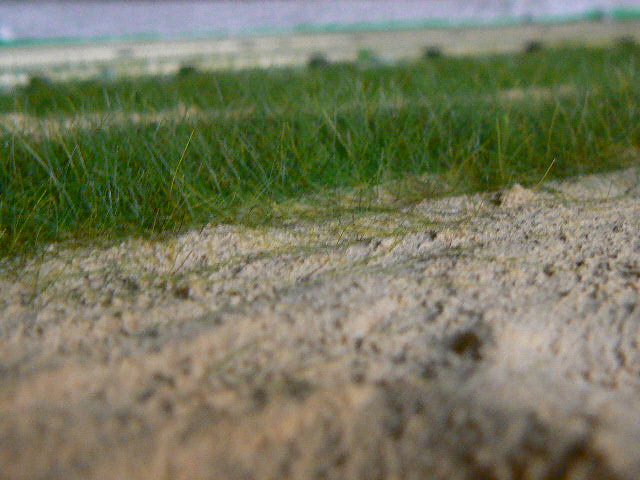P1140381.JPG