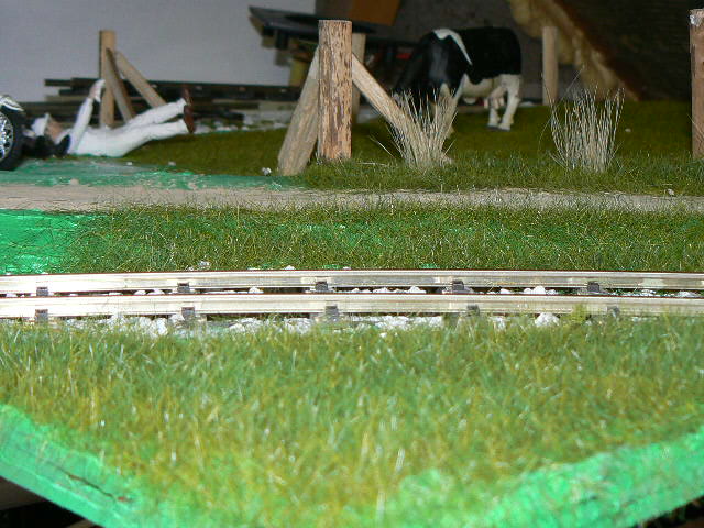 P1140377.JPG