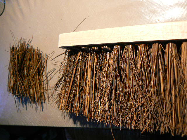 P1140550.JPG