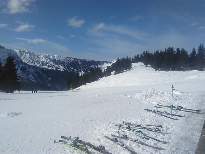 IMG_20170212_141446.jpg